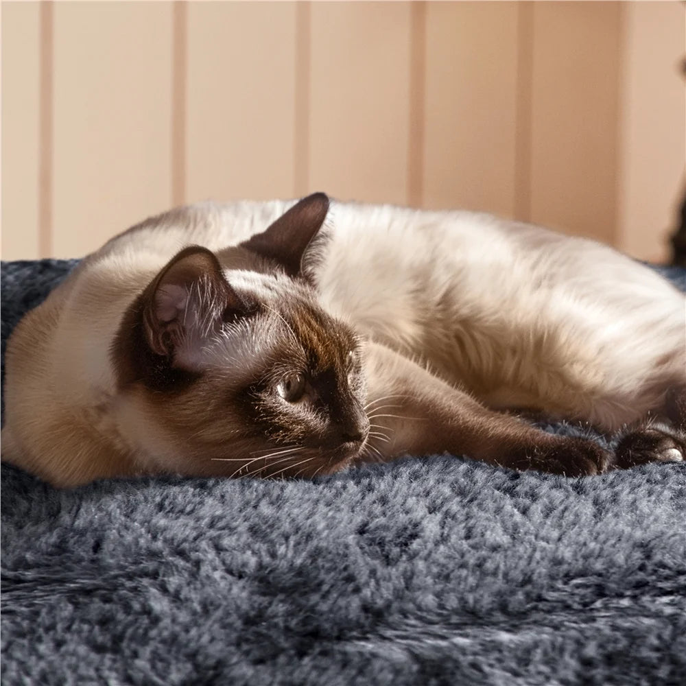 54''H Cat Tree Condo with Scratching Post Tower, Dark Gray