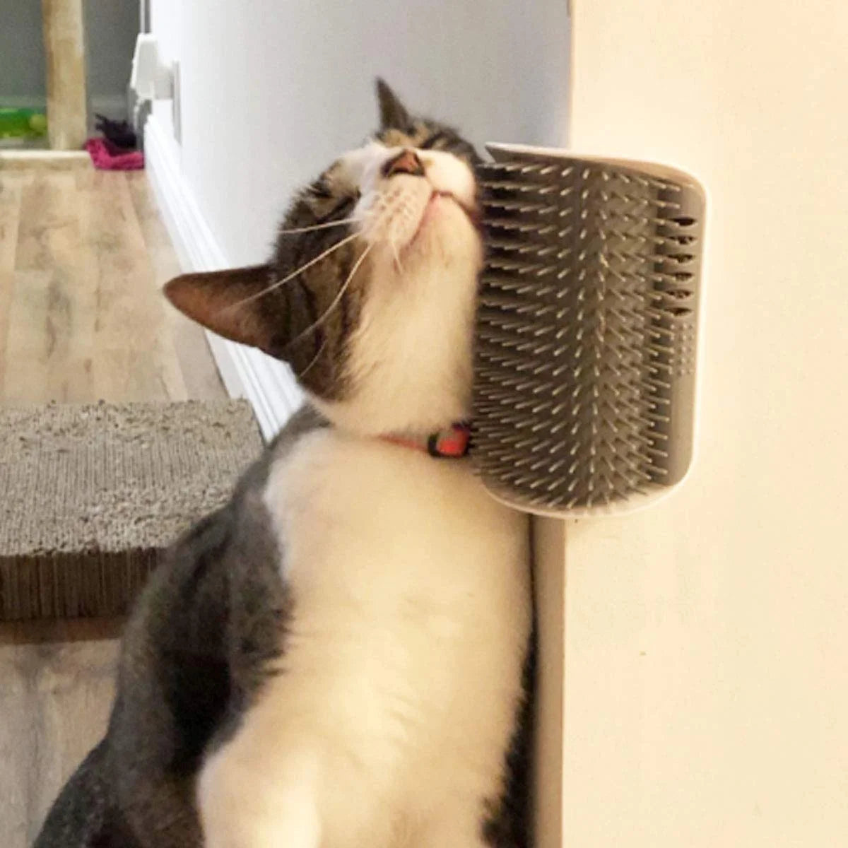 4 Pcs Cat Brush Cat Corner Self Groomer Softer Pet Wall Corner Massage Comb Corner Scratcher Pet Grooming Brush Comb Grooming