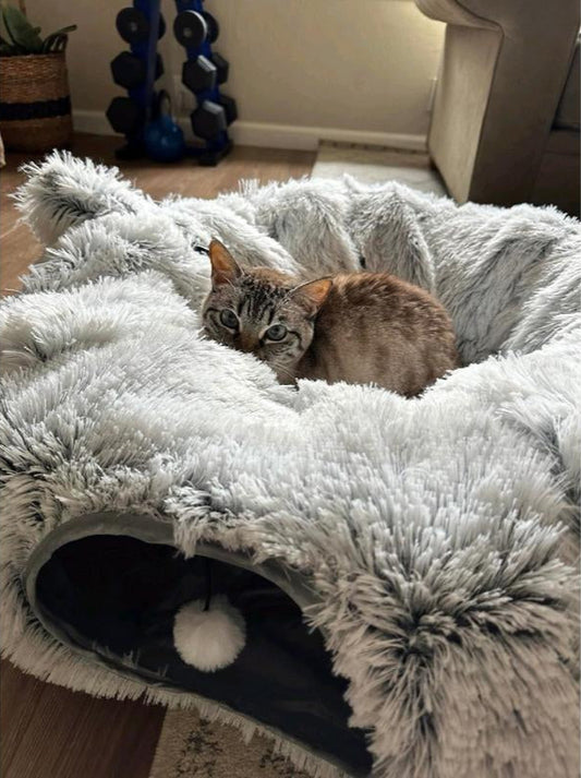 Marley and Bailee Cat Tunnel Bed - Perfect for Your Kitty'S Playtime Pet Supply